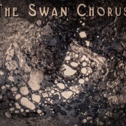 The Swan Chorus
